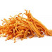 Dried Cordiceps