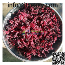 Dried Artichoke / Hibiscus Flower Dried Artichoke / Hibiscus Flower