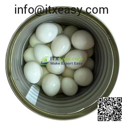 Canned Quail Egg Canned Quail Egg